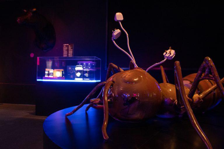 Gallery impression of Ang Xue Ning’s art installation ‘Greater Occupant’. Photo credit: Cherry Goh, 2021