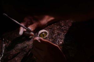 Photo credit: Iffah Iesa, 2018During restoration: The replacement glass eye with restoration work to the eyelid for a more natural appearance.