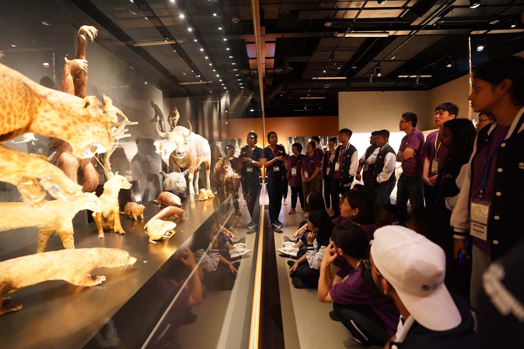 Gallery Tour