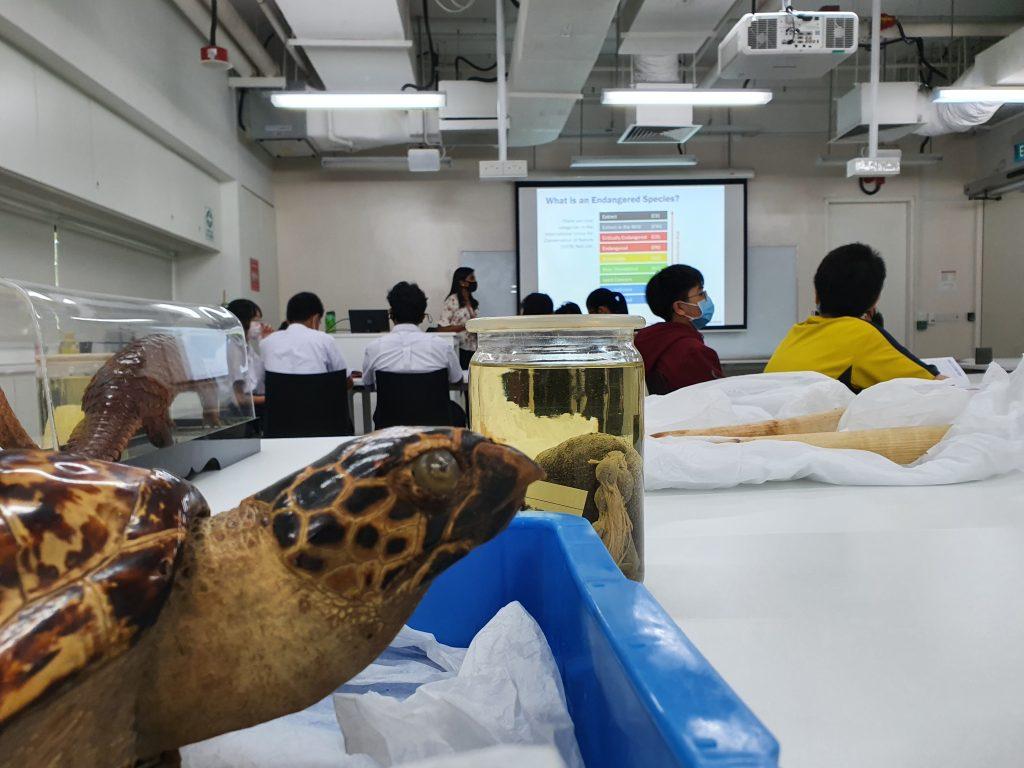 Students engaged in a hands-on session of the workshop, with the Museum specimens in the foreground.