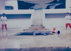 Photograph courtesy of Syed bin Taha