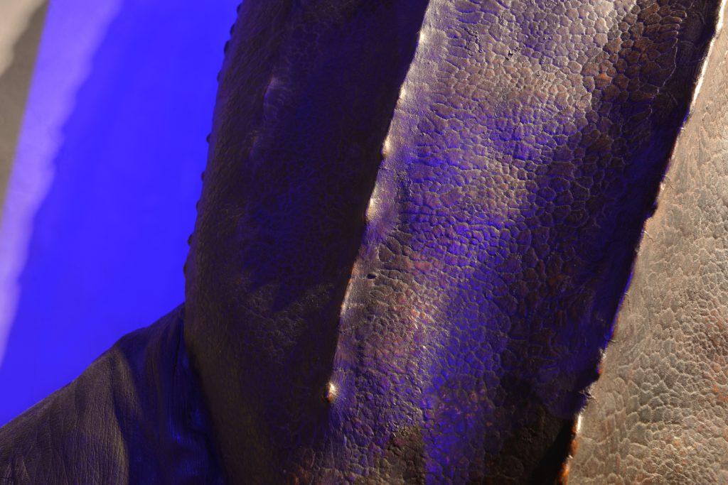 Close up of the leatherback turtle’s shell.