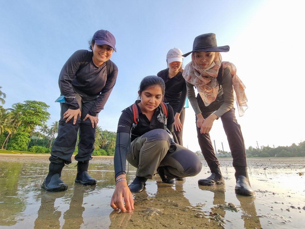 Participants, led by an Education Officer, walking in a single file on the sandy shore of an intertidal area.