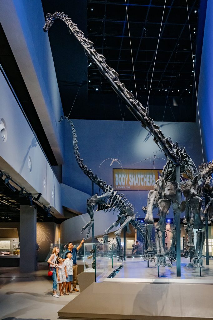 A family of four looking up at the big diplodocid sauropod fossils.