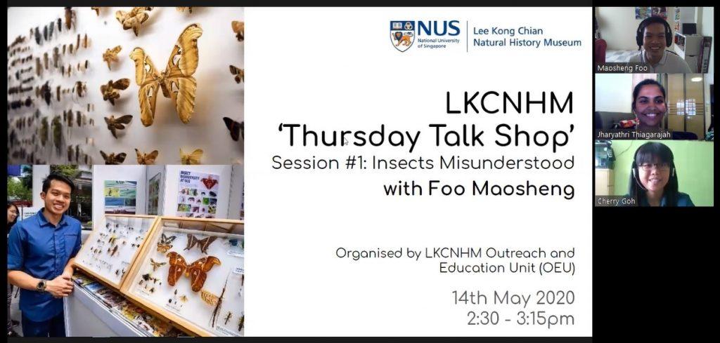 LKCNHM Thursday Talk Shop season 1 session 1: Insects Misunderstood with Foo Maosheng. Click the link to watch this webinar.