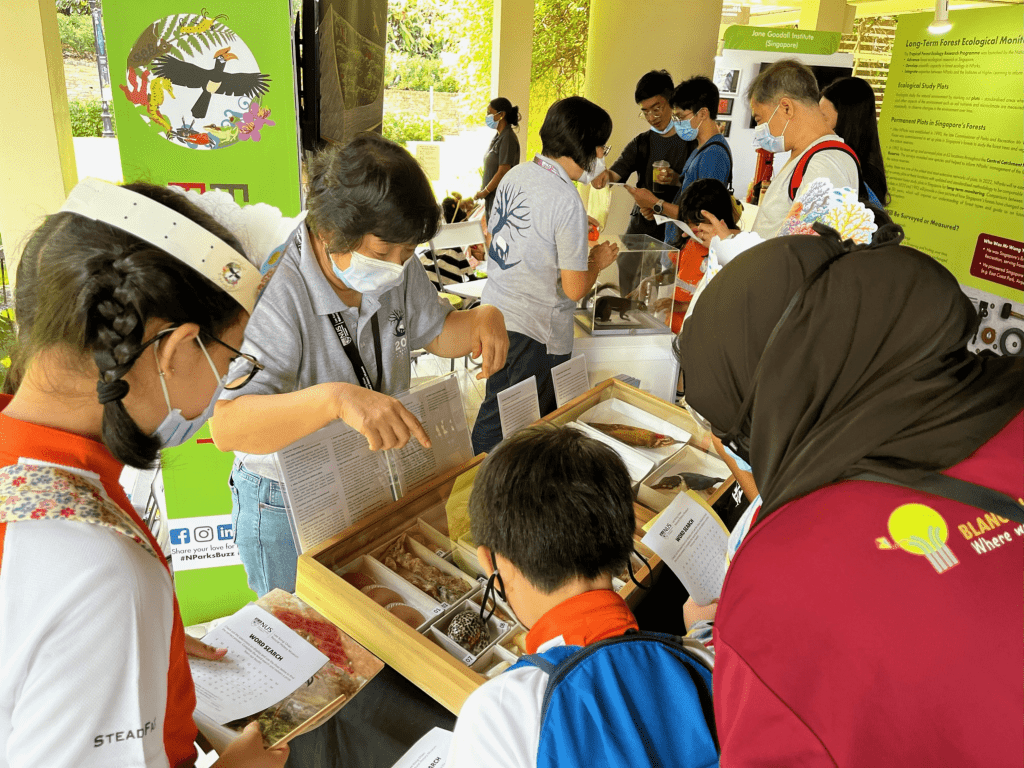Volunteers in grey shirts presenting Museum specimens to members of the public during a roadshow.