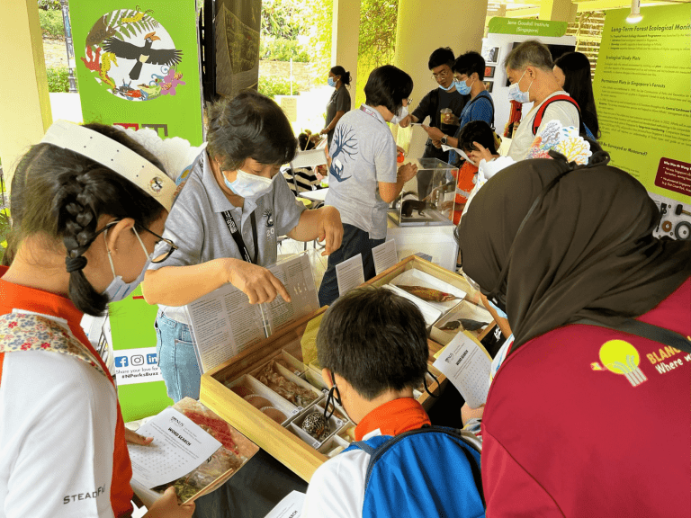 Volunteer ad-hoc guiding